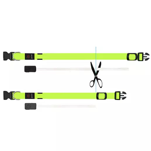 LED Flashing Collar